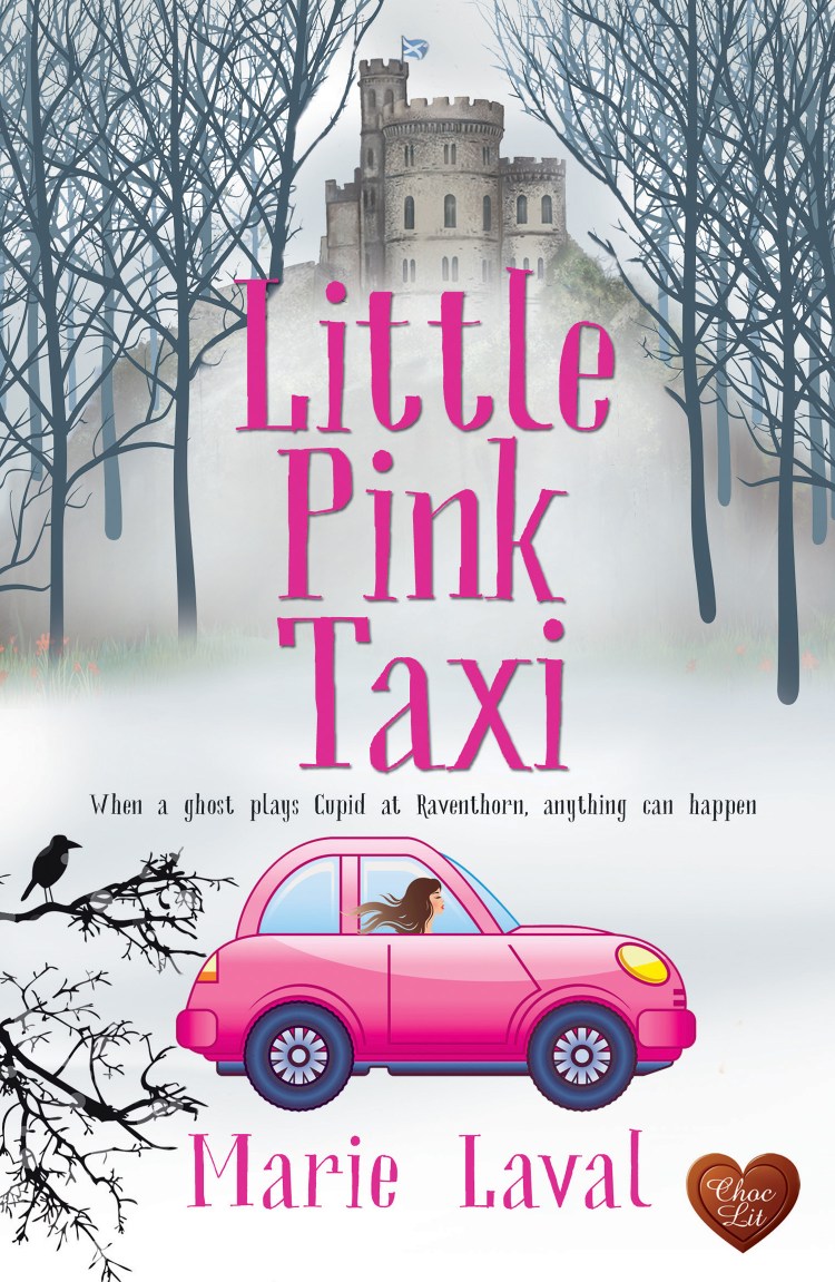 LITTLEPINKTAXIFINAL