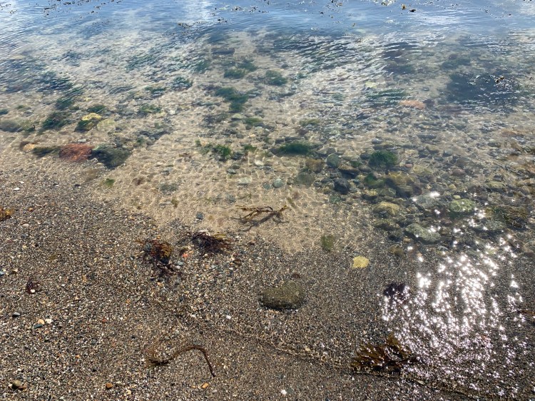 eB804nC9TIyYPg1u4dCn3Q