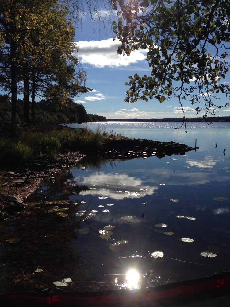Swedish lake